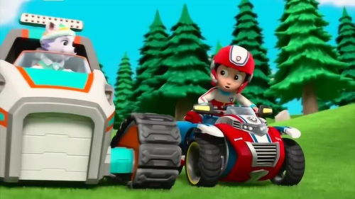 汪汪队立大功 莱德与汪汪队的矿山救援行动