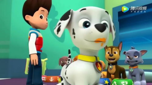 汪汪队立大功 一场冰棒引发的欢乐驾考
