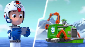 阿灿出千记 汪汪驾考风云